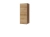 C-WISZ-PION-dab-zloty.webp